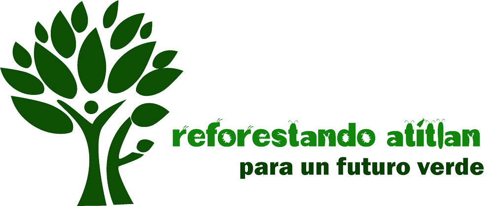 reforestando-atitlan-para-un-futuro-verde